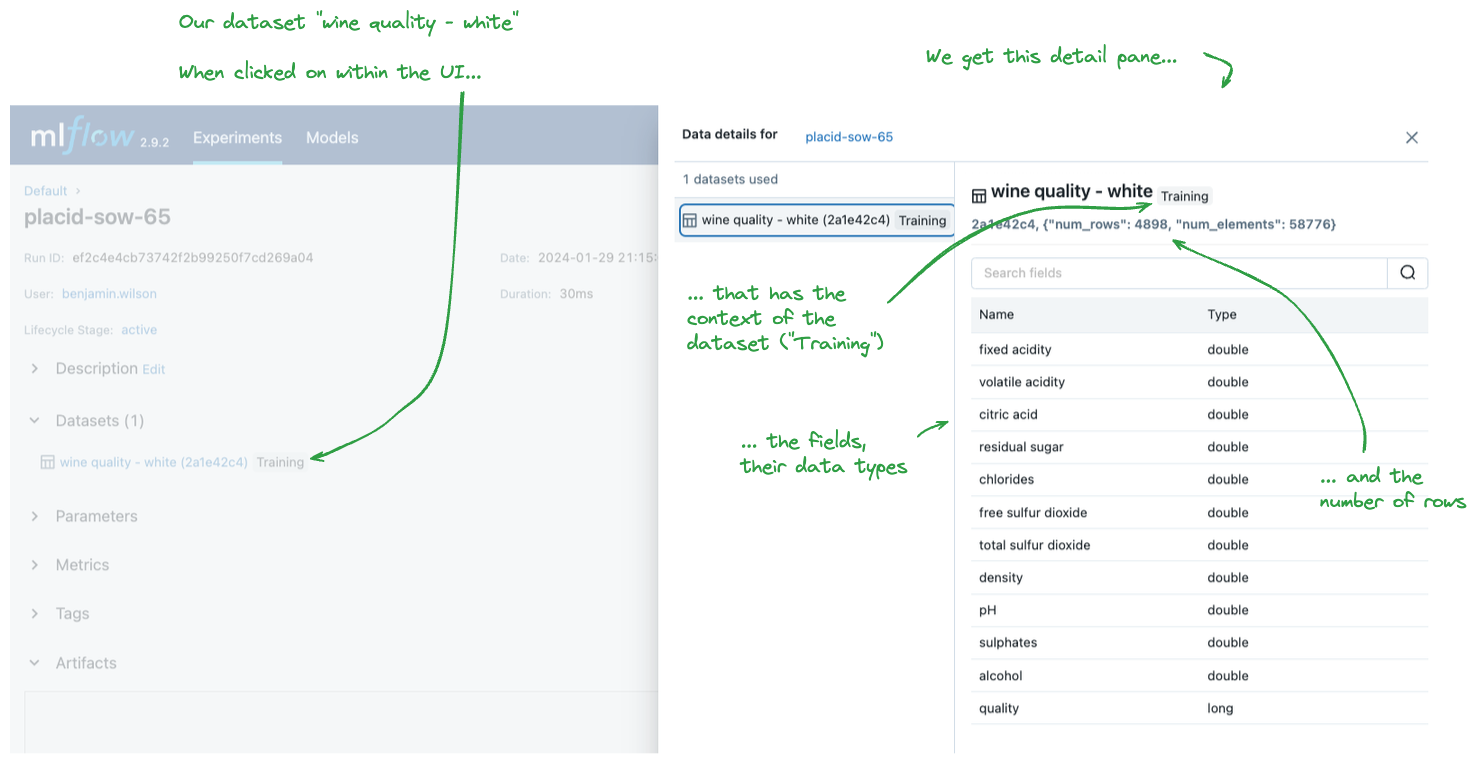 Dataset in MLflow UI